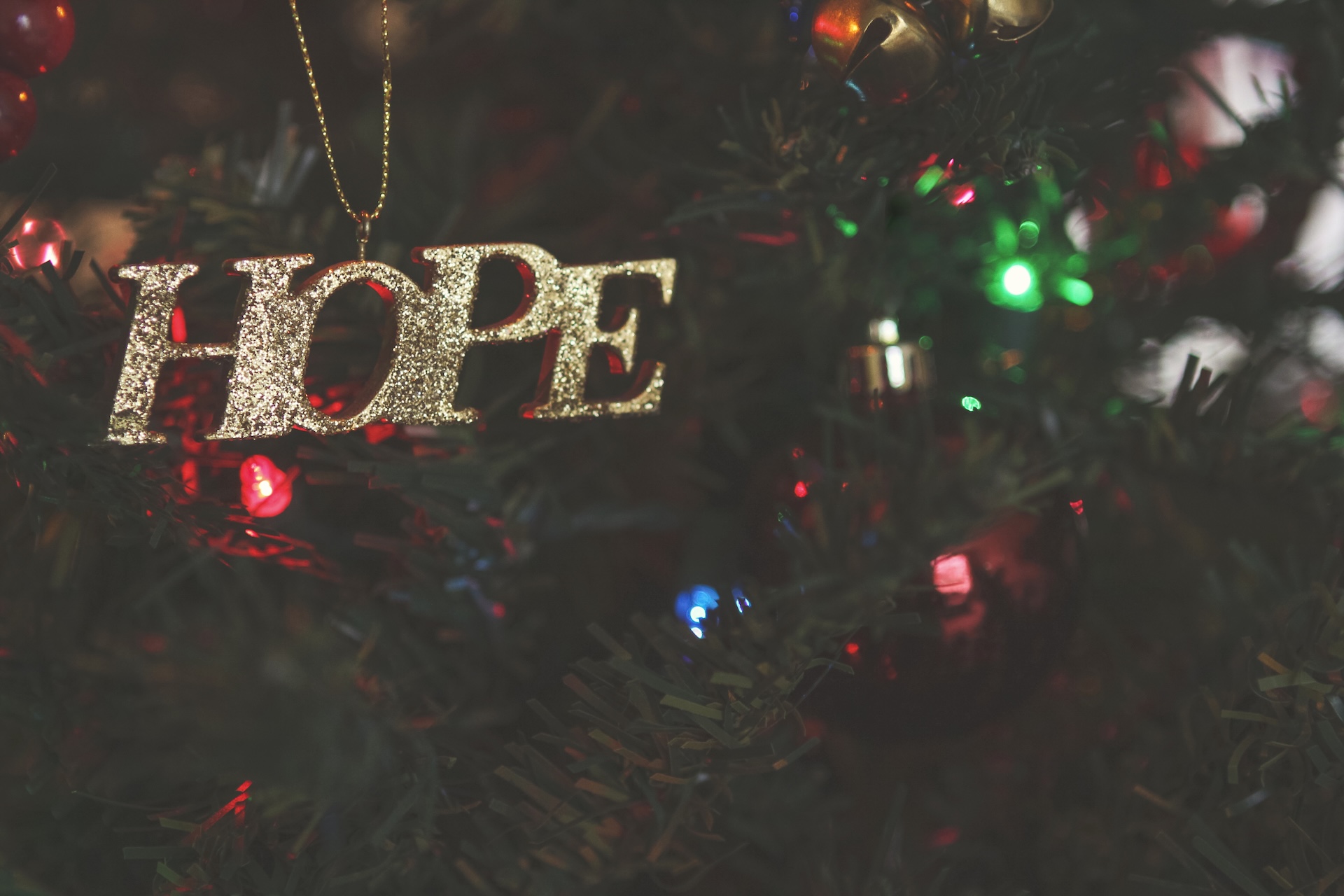 HOPE - NOW LIVING IN A NOT-YET WORLD 1 of 5